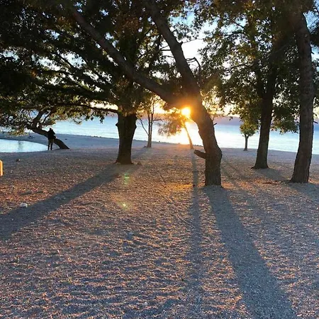 公寓 Stemark 奈维斯