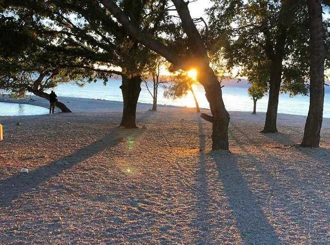 아파트 Stemark 니바이스